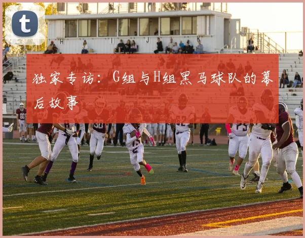 独家专访：G组与H组黑马球队的幕后故事