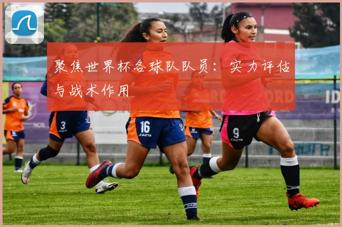 聚焦世界杯各球队队员：实力评估与战术作用