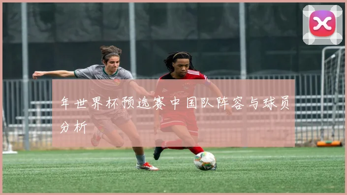 年世界杯预选赛中国队阵容与球员分析