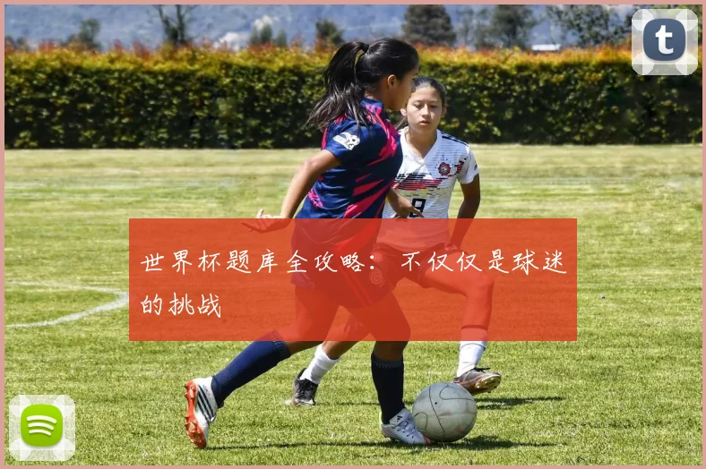 世界杯题库全攻略：不仅仅是球迷的挑战